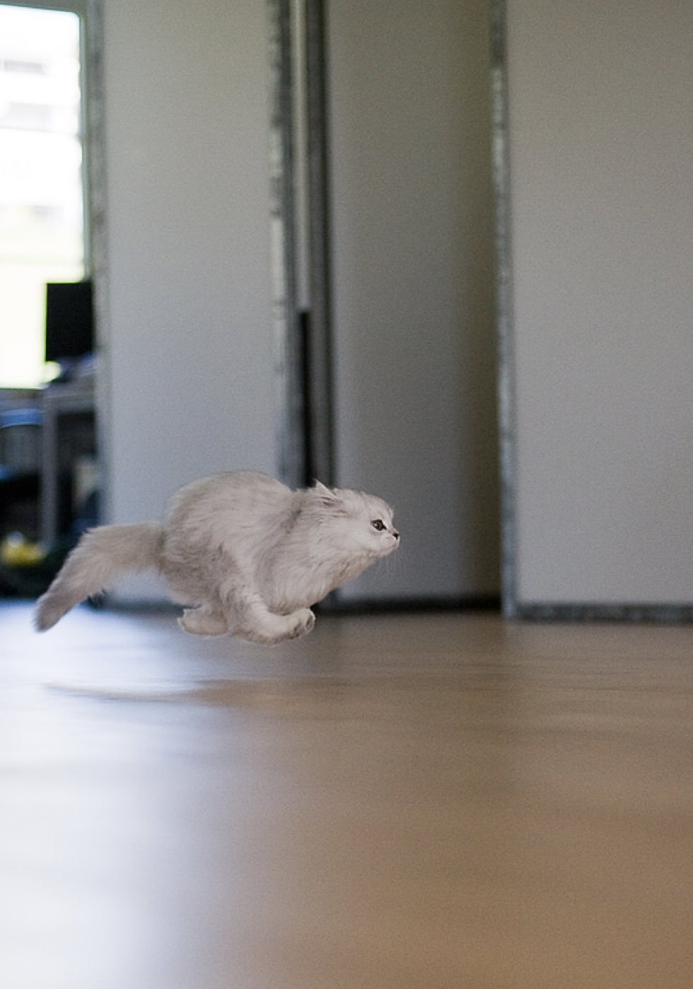 Пикчи крашу