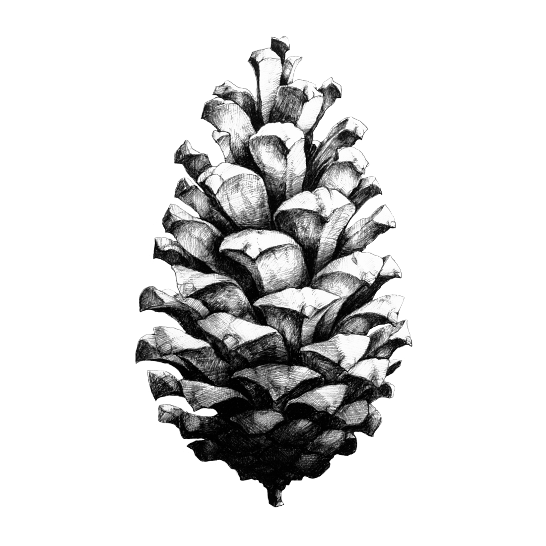 Стилизация шишки