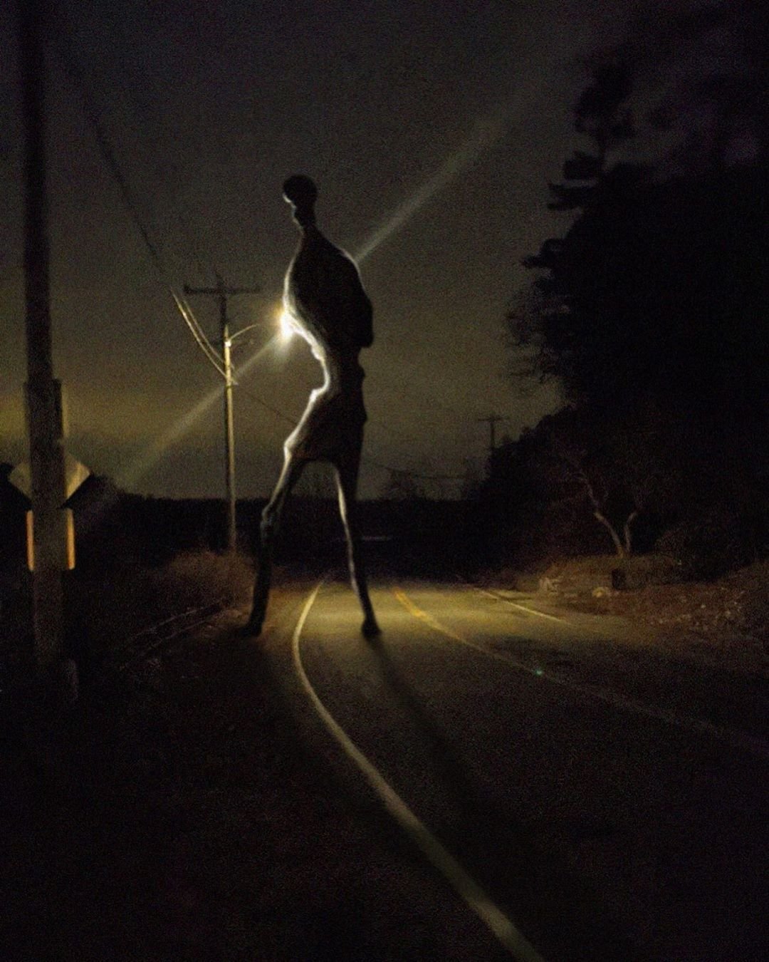 Тварениетревор Хендерсон