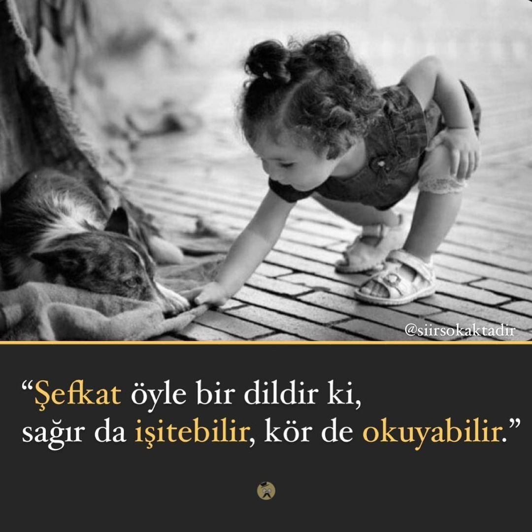 Афоризмы о доброте души