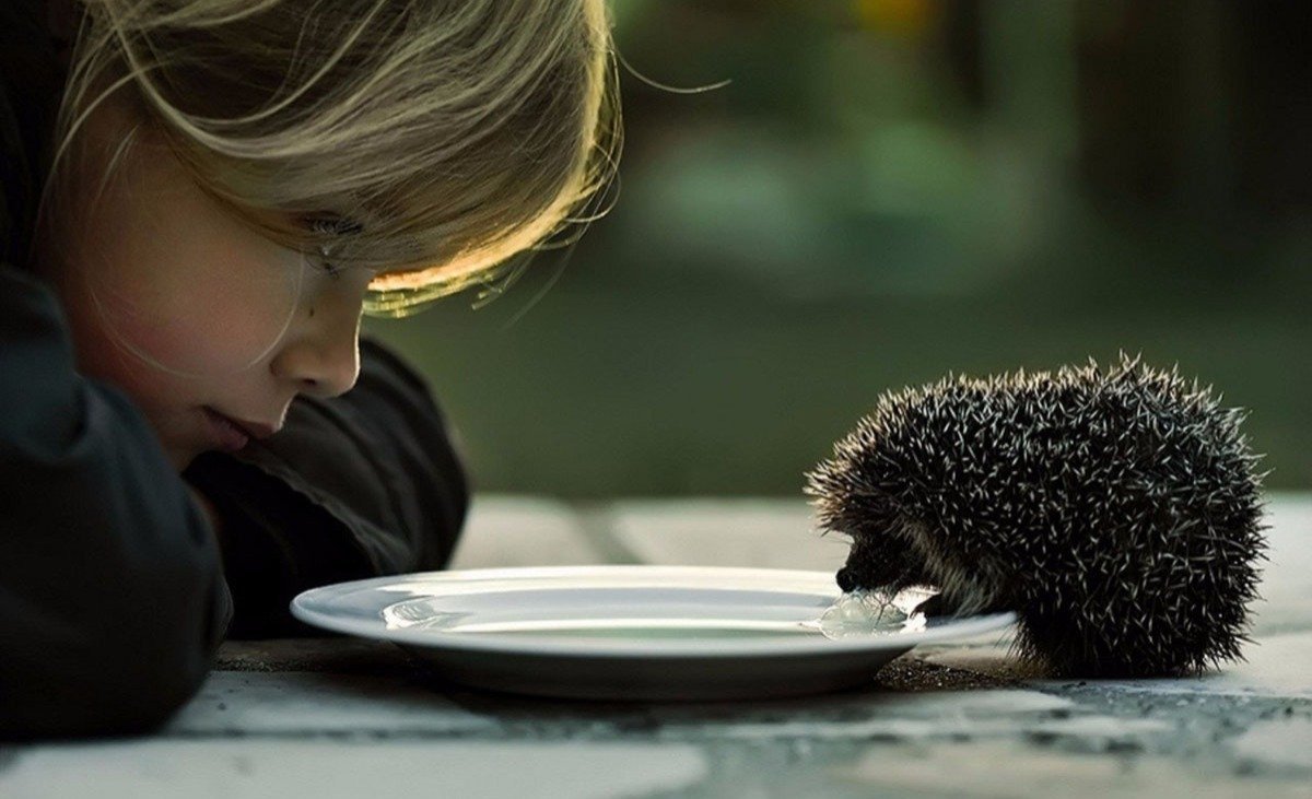 Добрые поступки людей