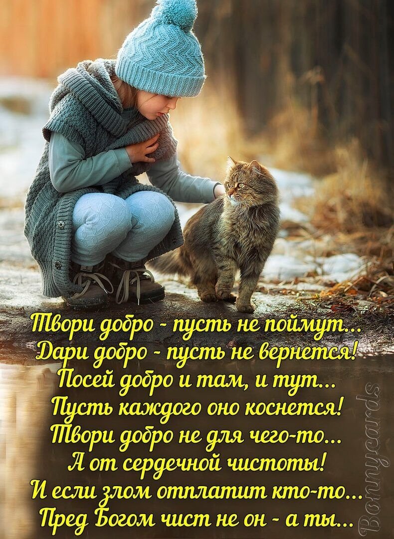 Karin Taylor картины