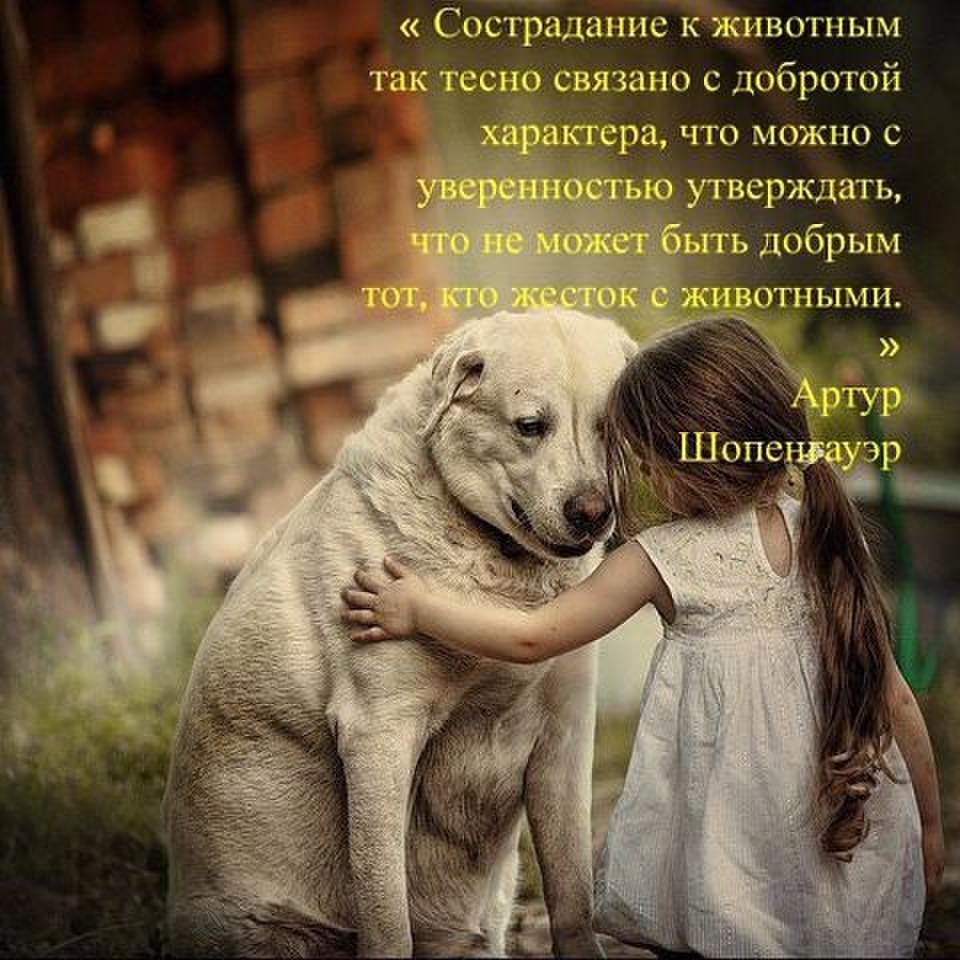 Цитаты про добро