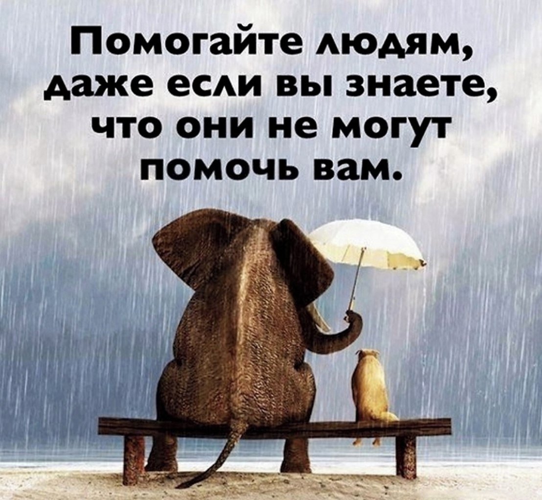 Цитаты про доброту души