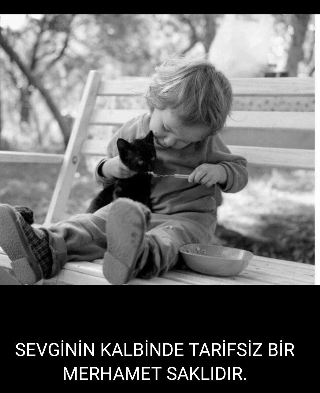 Добрые высказывания о жизни