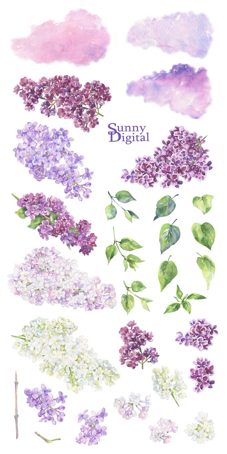 Цветущие деревья на прозрачном фоне