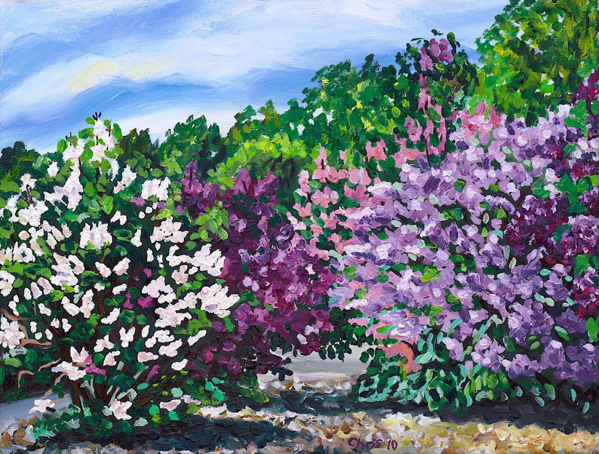 Сирень для вырезания