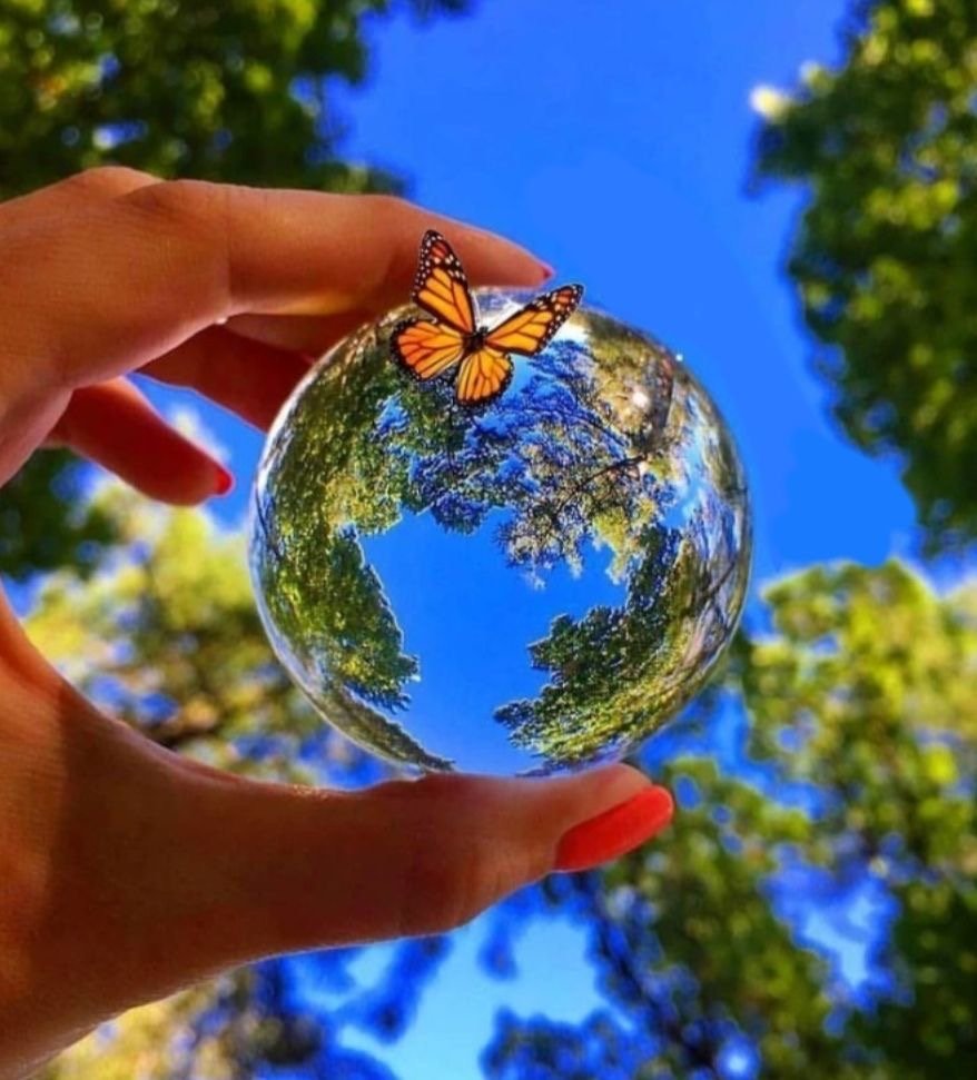 Доброе утро лето мир прекрасен