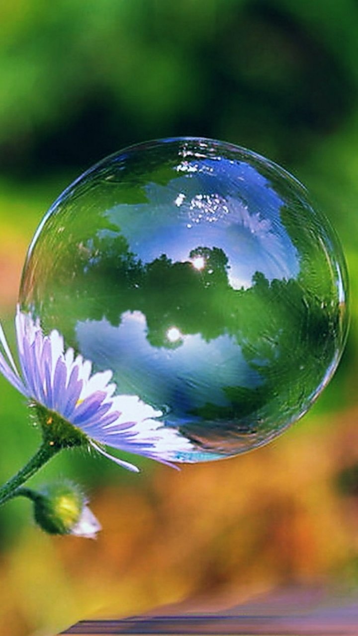 Мир в капле