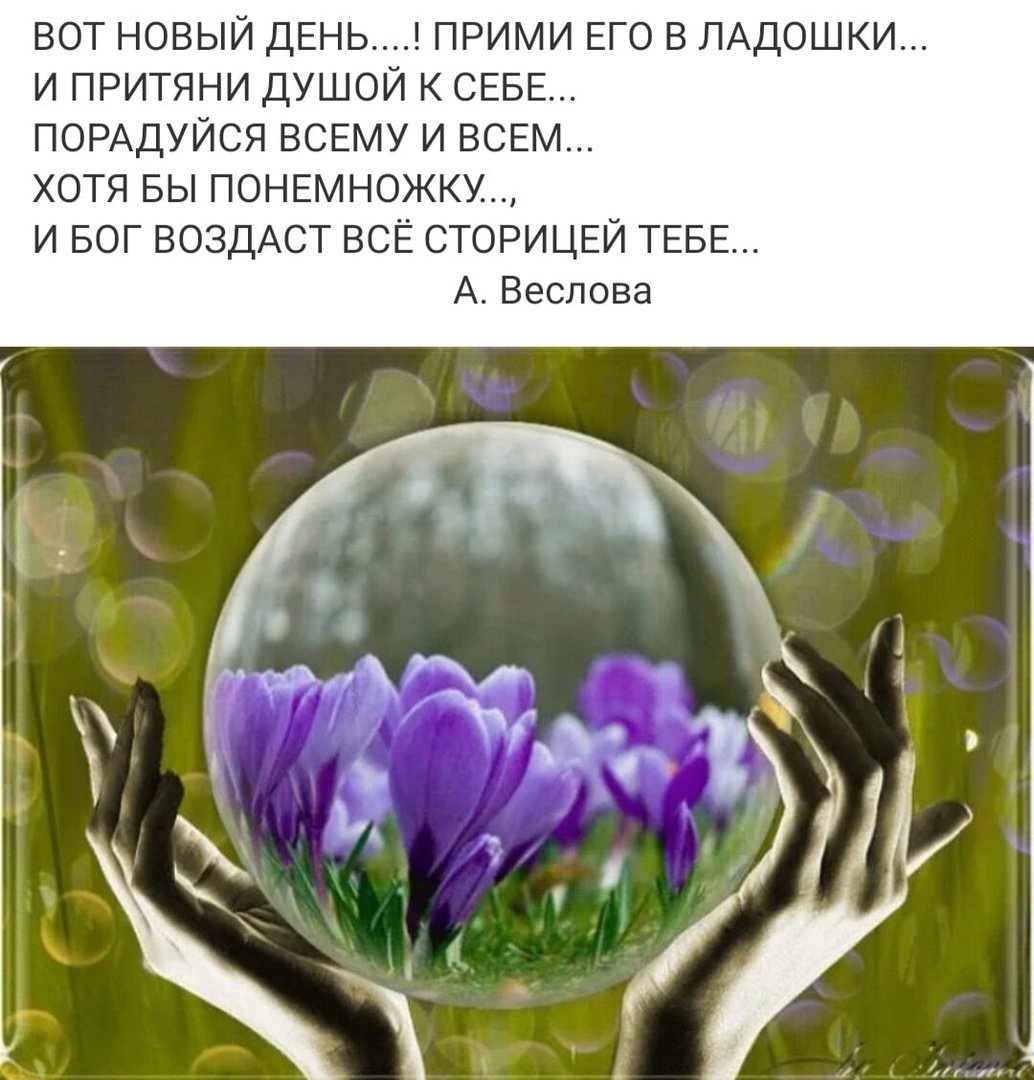 Весна доброта