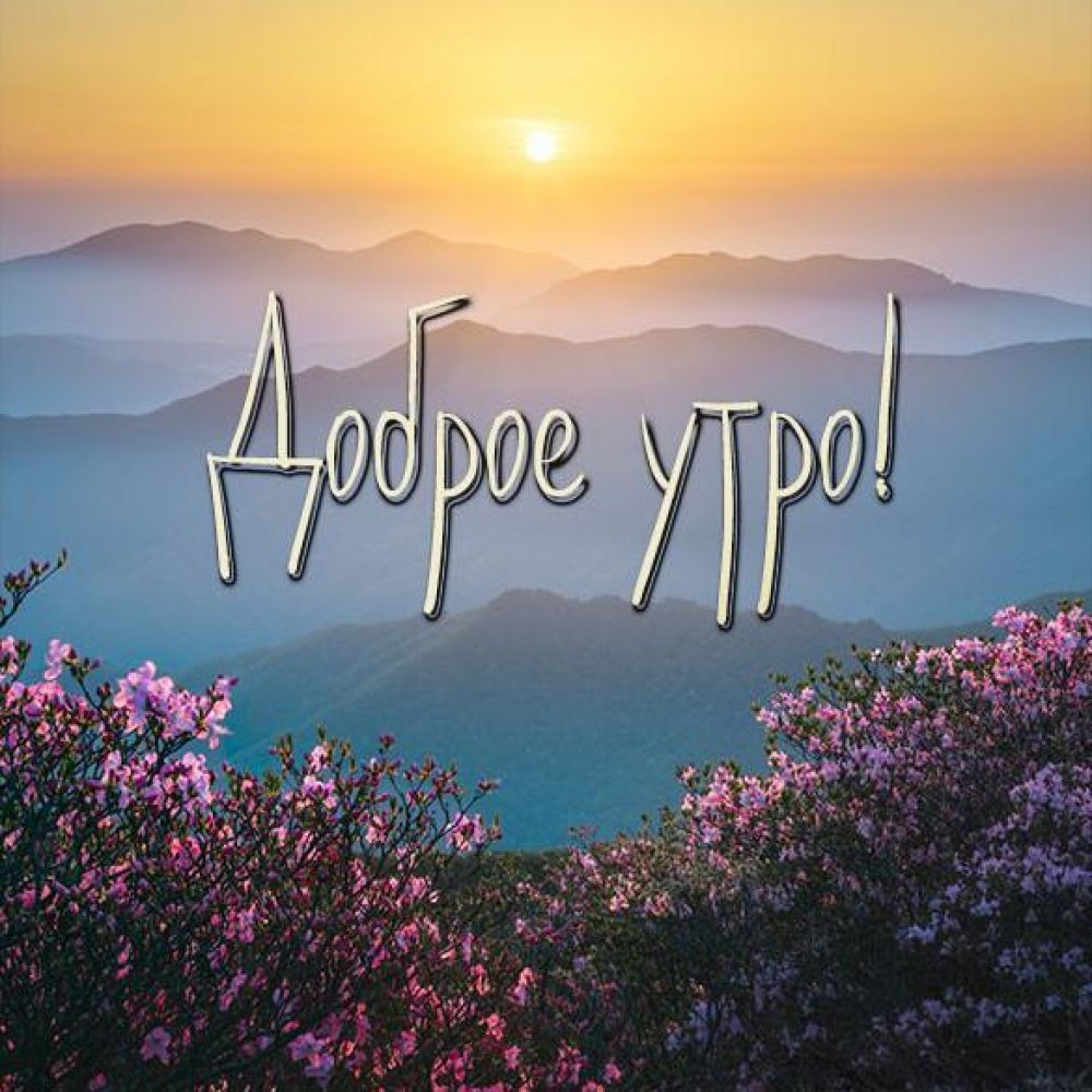 Доброе утро рассвет