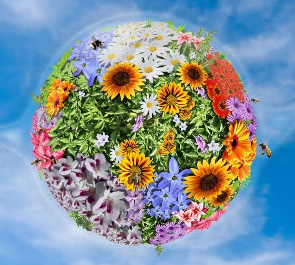 Цветочная Планета