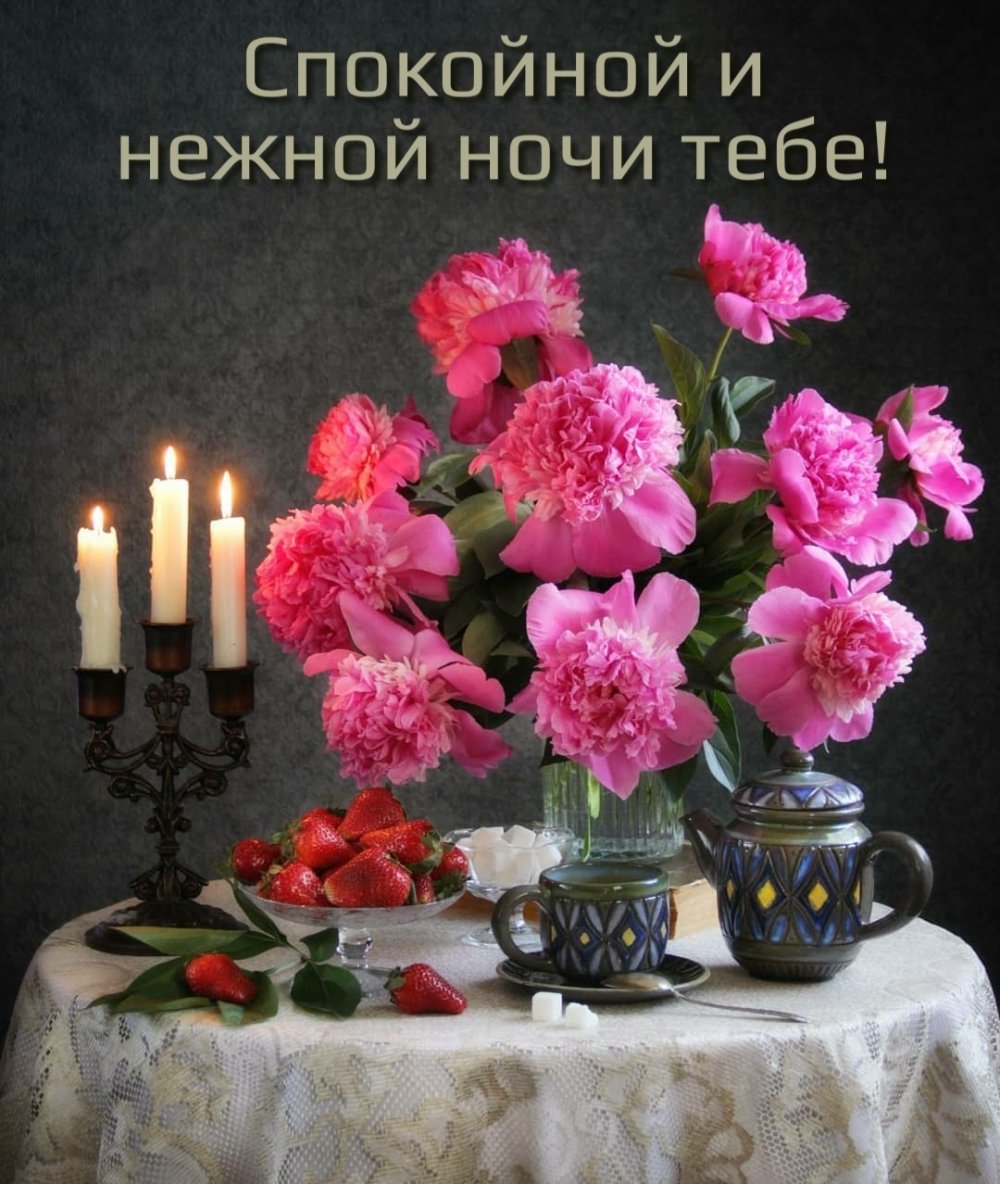 Доброй ночи спокойного сна