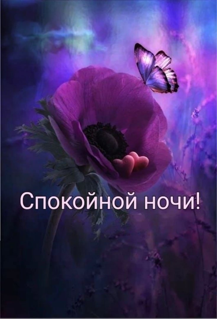 Спокойной ночи друзья