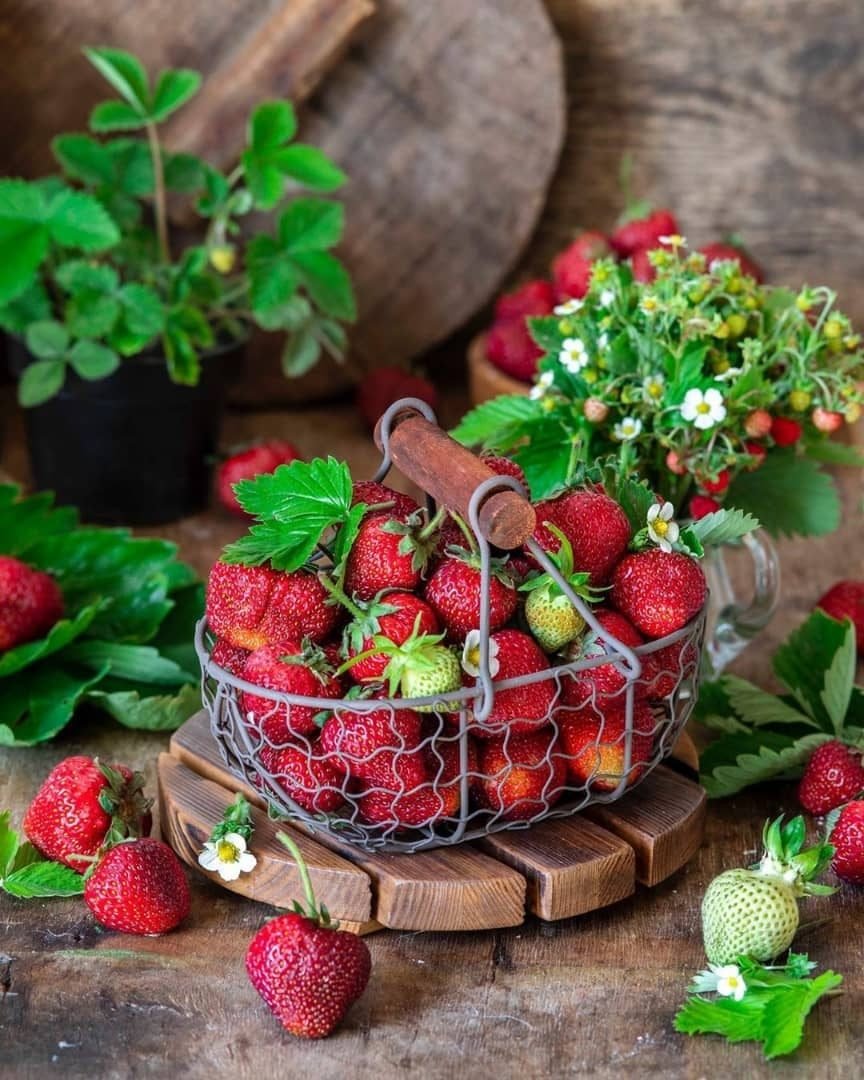 Летние ягоды