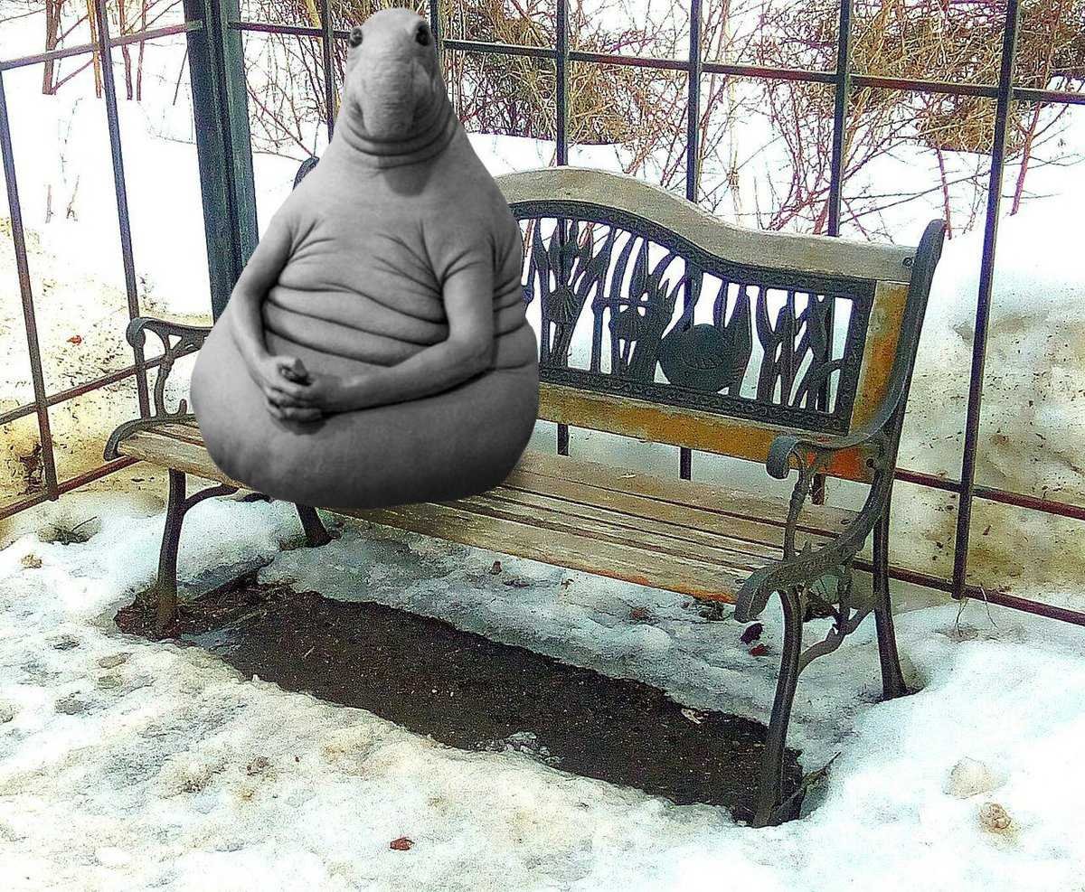 Homunculus Loxodontus голландской художницы Маргрит Ван Бреворт