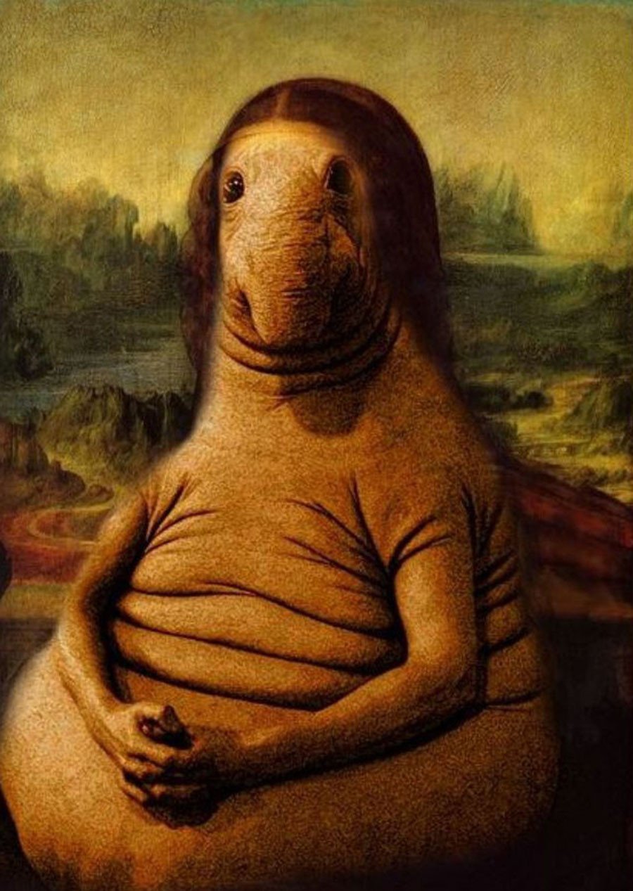 Ждун перед компом