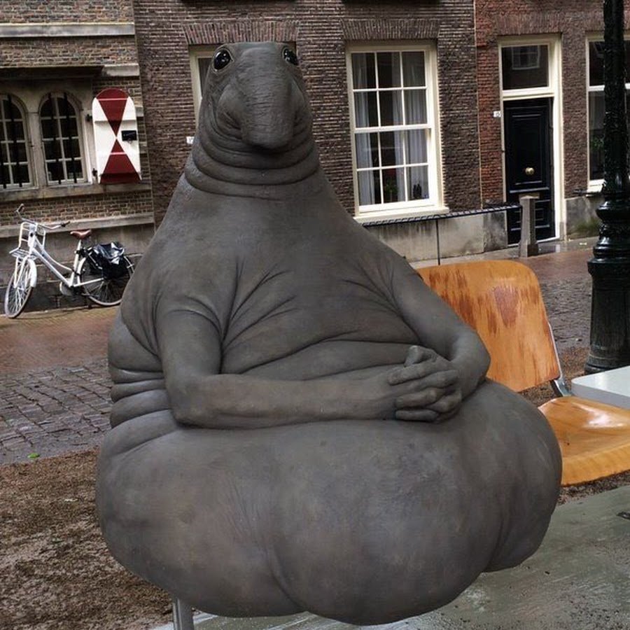 Северный морской слон Ждун