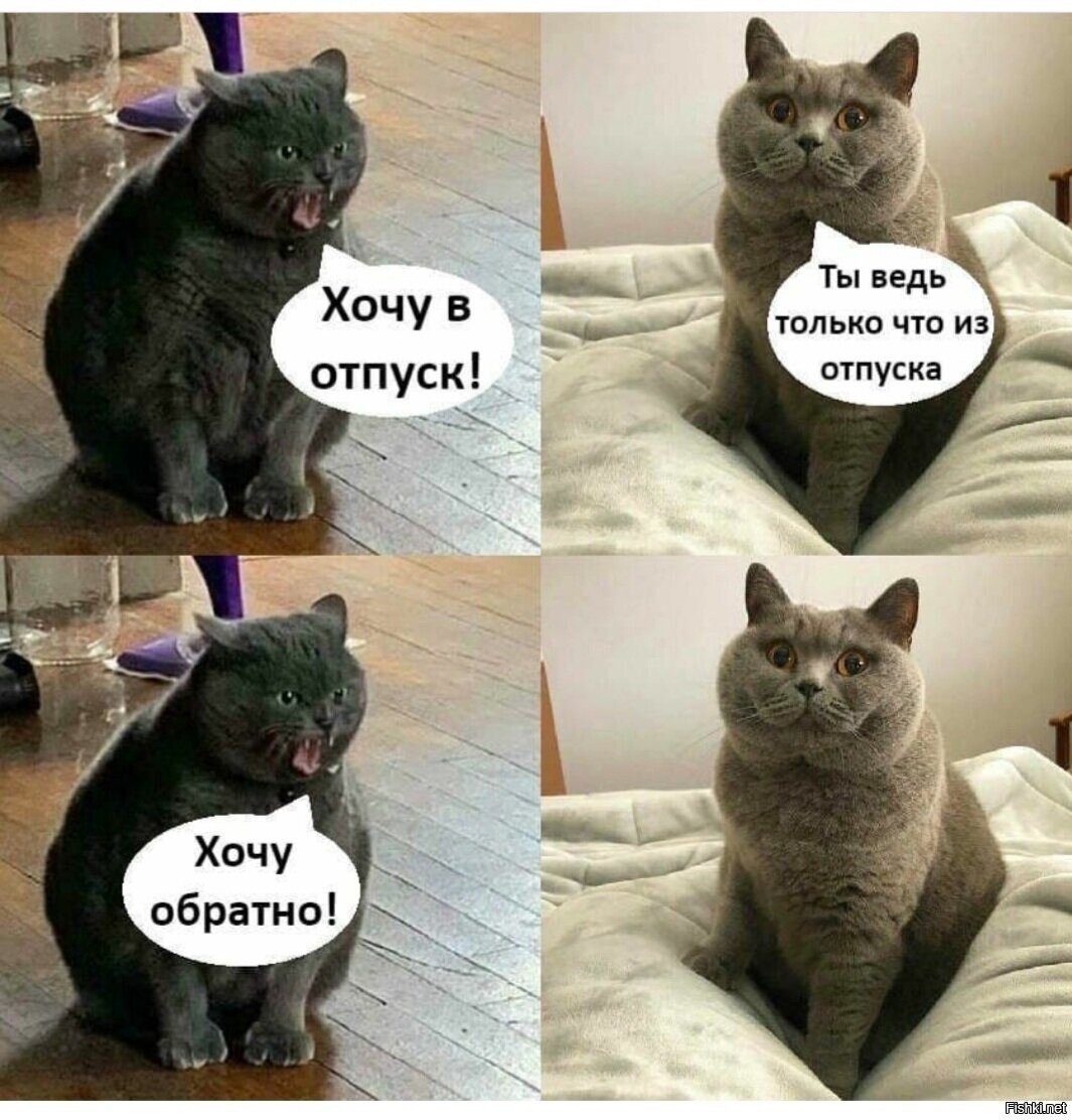 Инженер в отпуске