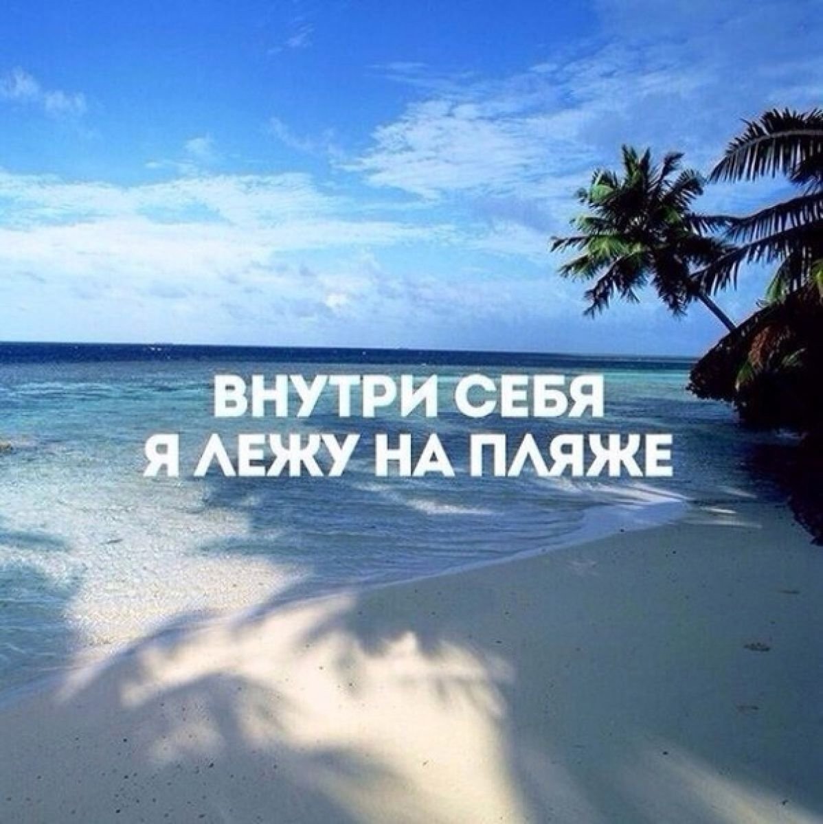 Собака отдыхает