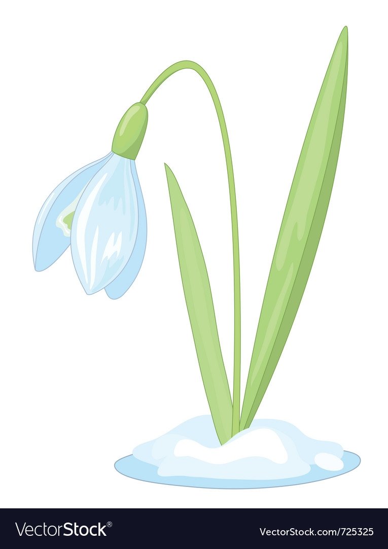 Детский сад Подснежник