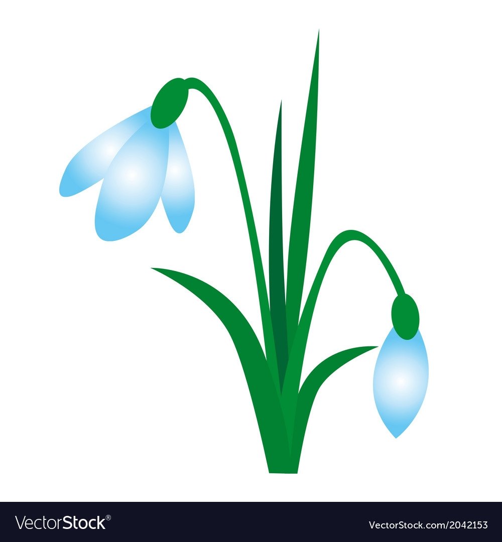 19 Апреля день подснежника