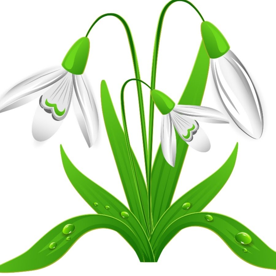 Открытки с подснежниками