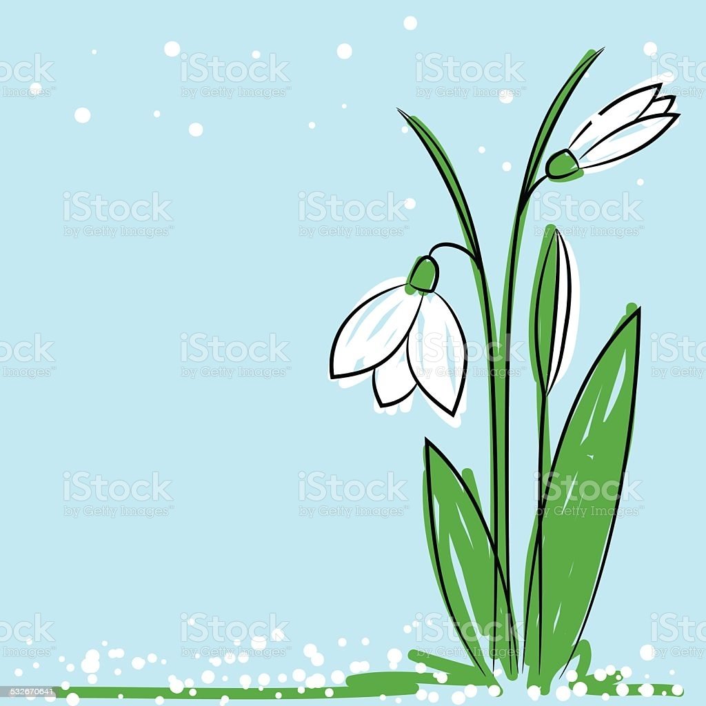 Сказочные подснежники