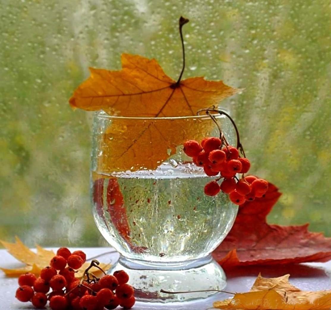 Осенние цветы и кофе