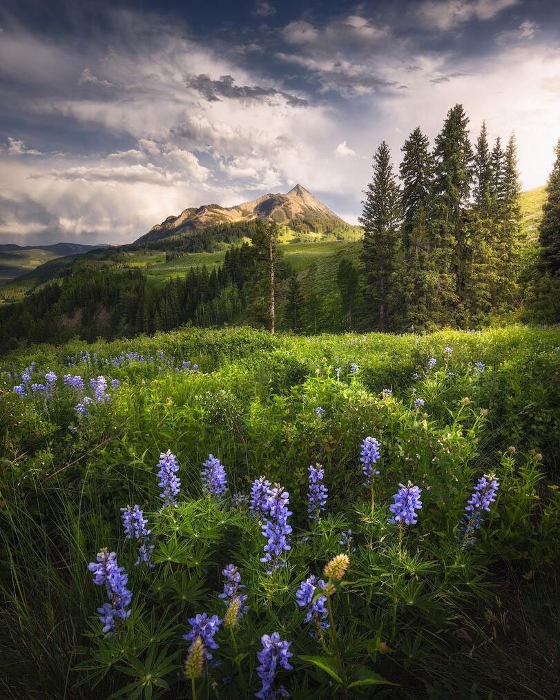 Красивые пейзажи природы