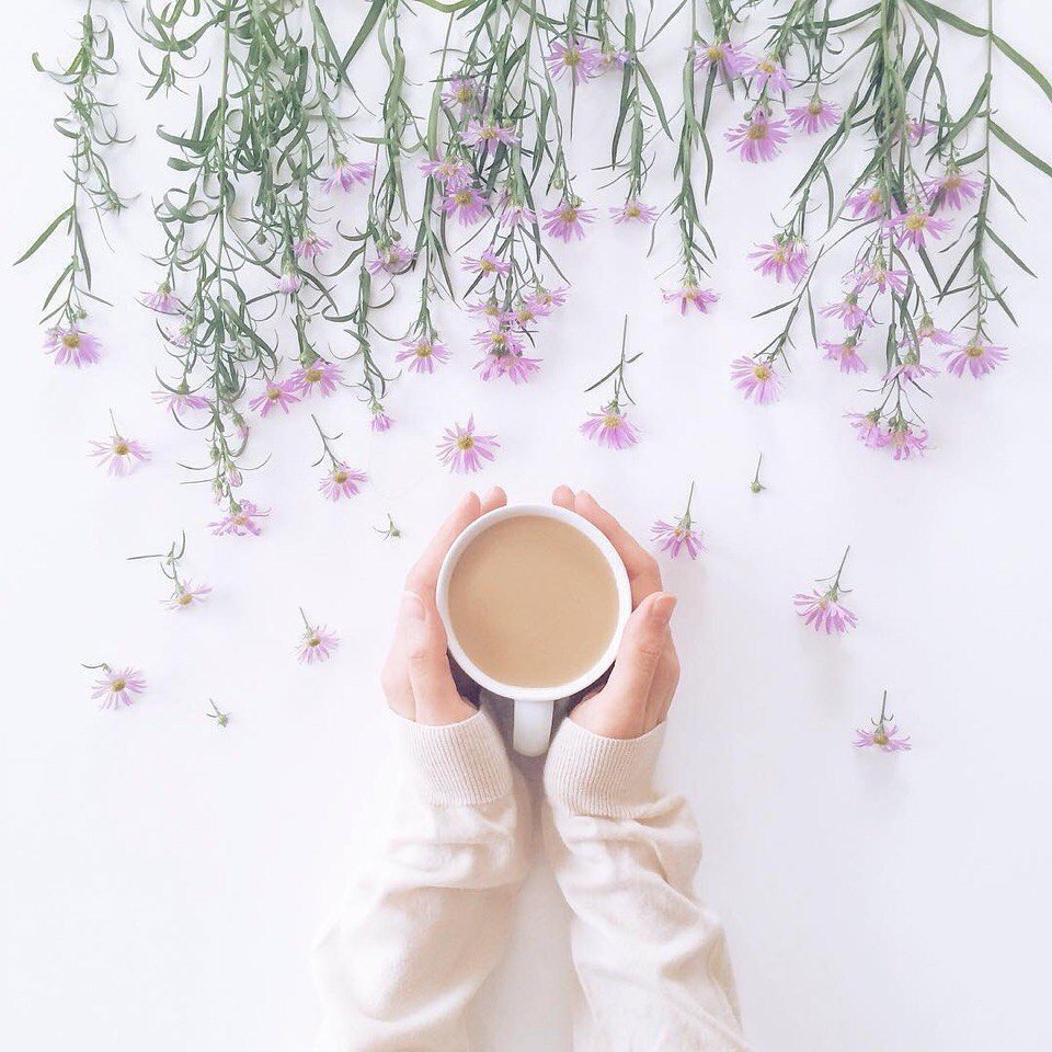 Доброе утро Минимализм цветы