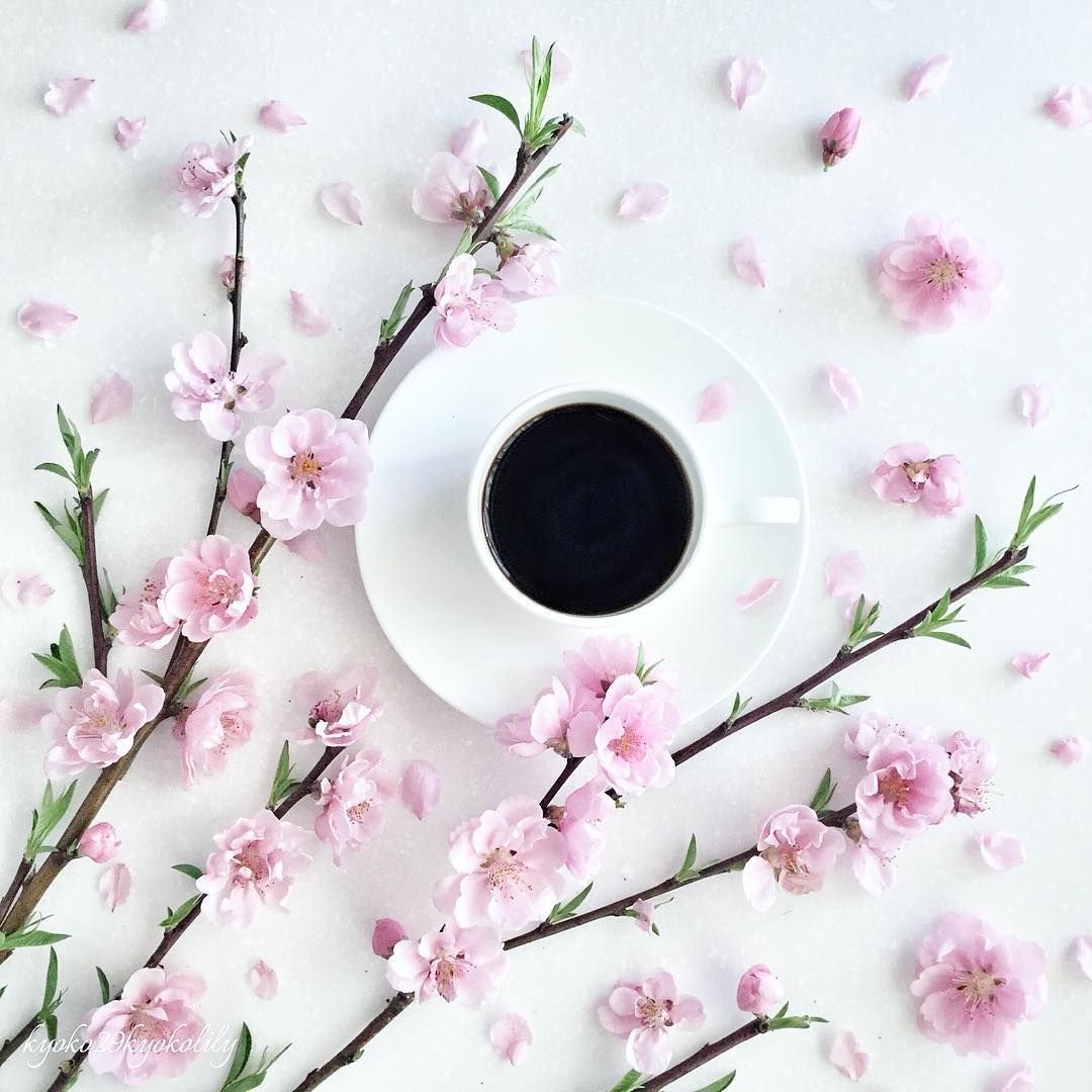 Весна для инстаграмма