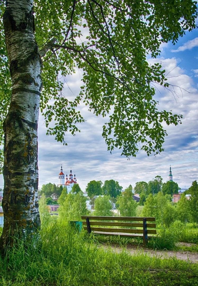 Осень река Вологда храмы