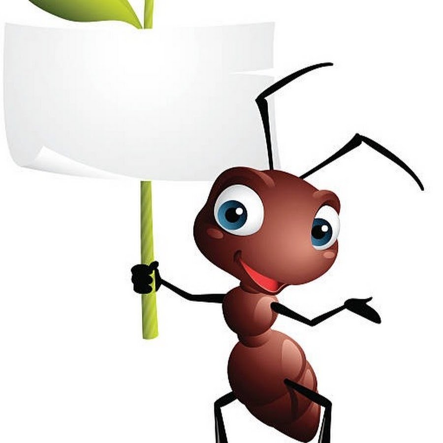 Смешной муравей