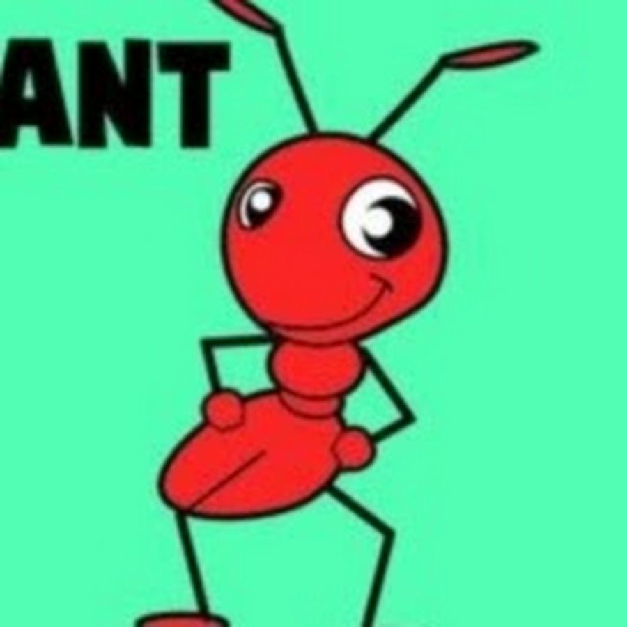 Мордашка муравья