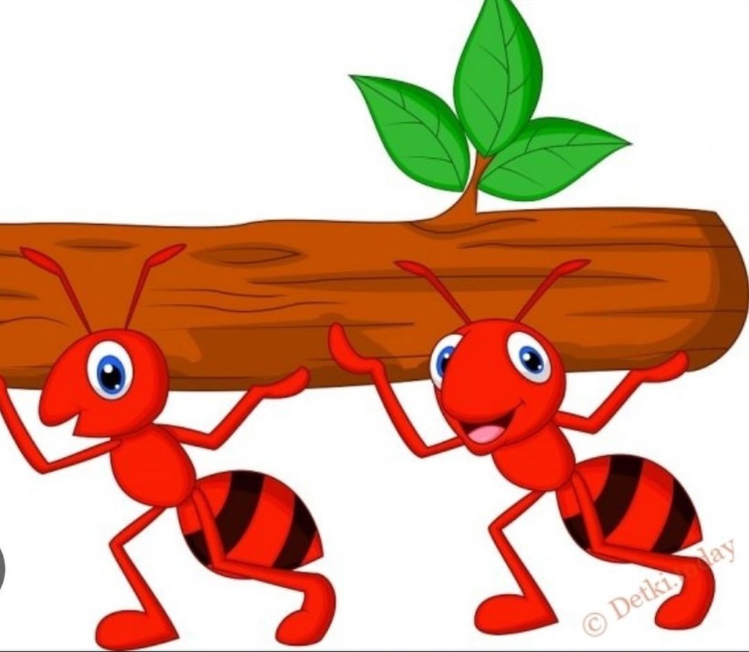 Муравей сказочный