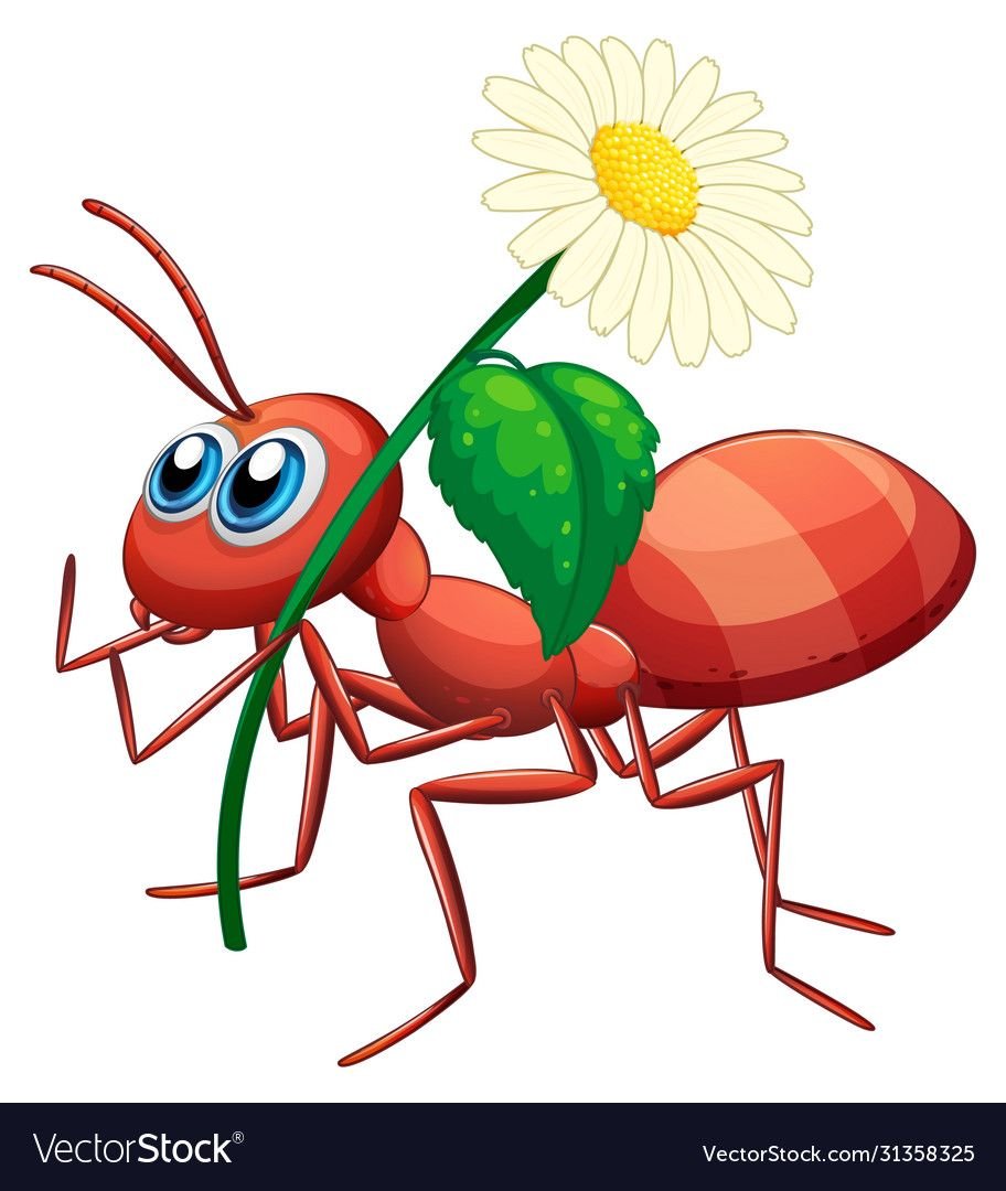 Муравей в иллюстраторе