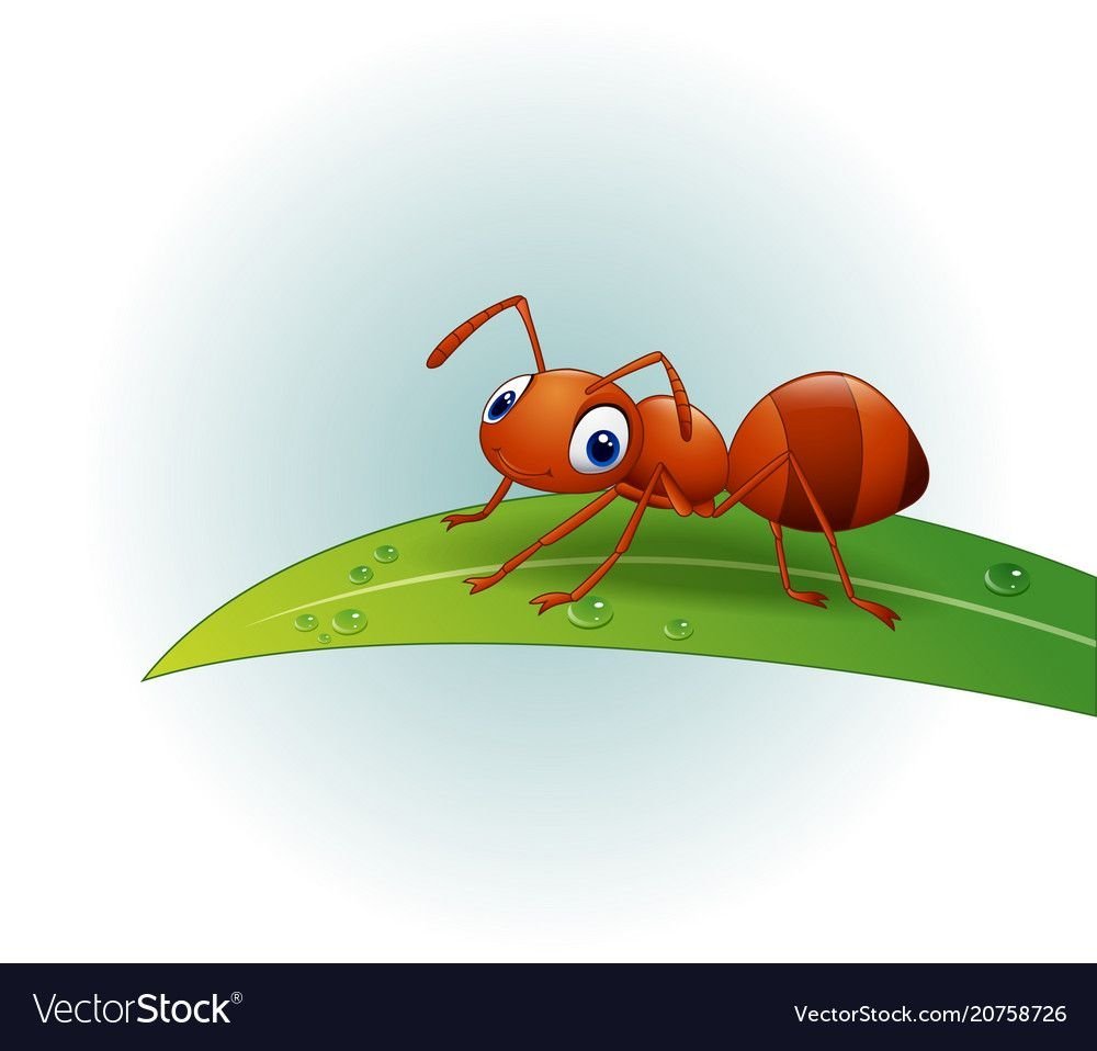 Муравей раскраска для детей