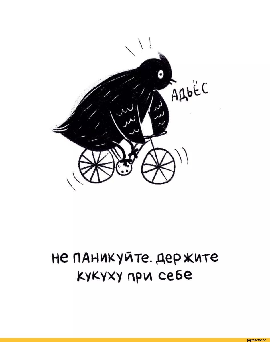 Самец кукушки