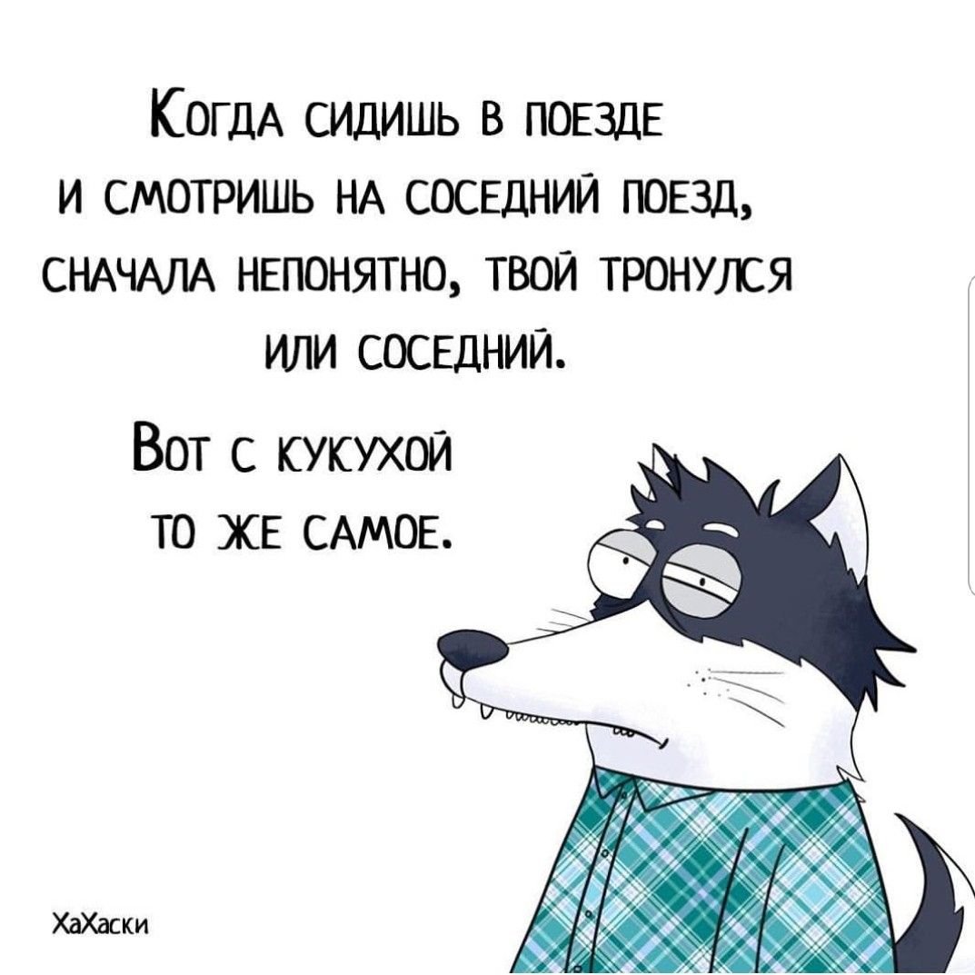 Кукушка Cuculus canorus