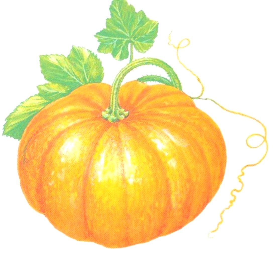 Тыква рисунок