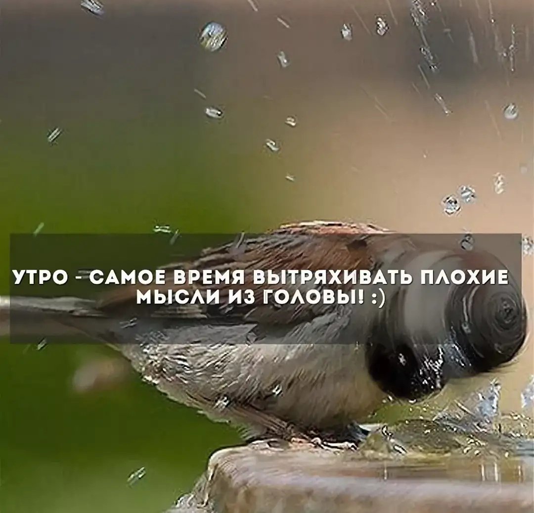 Добрые мысли о жизни