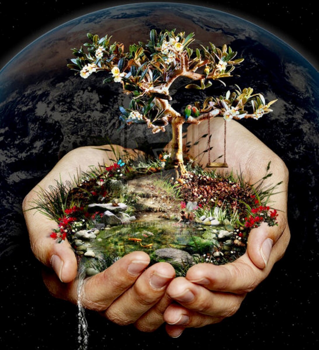 Сохранение природы