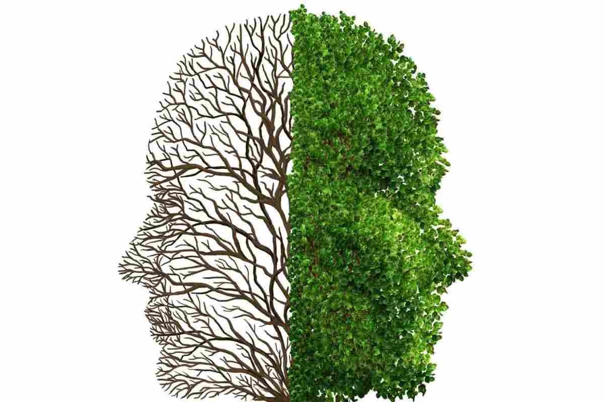 Окружающая среда