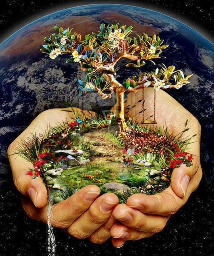 Человек и экология картинки