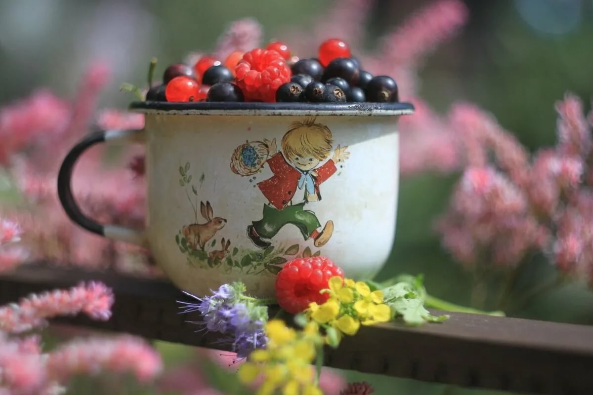 Доброе Воскресное летнее утро