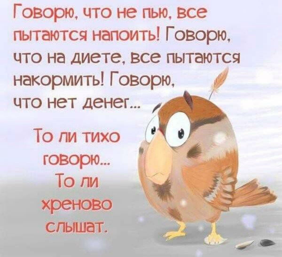 Прикольные фразы для поднятия настроения