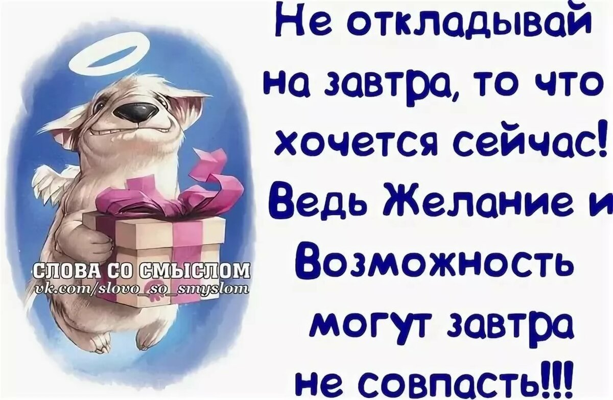 Слова со смыслом в картинках прикольные