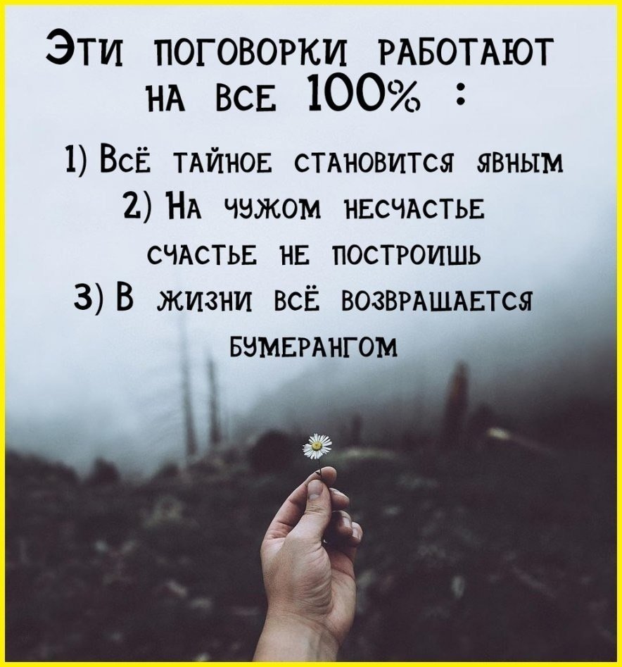 Цитаты про Бумеранг в жизни со смыслом