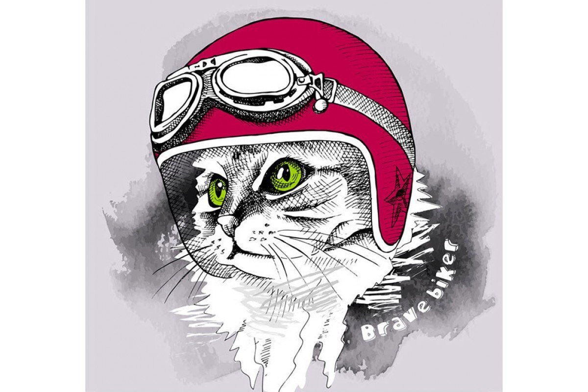 Тату кот в каске
